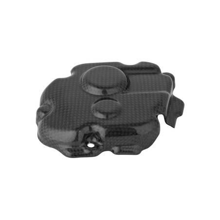 CARK9618 Couvercle de ramassage en carbone Kawasaki ZX10R 2011+ Lightech
