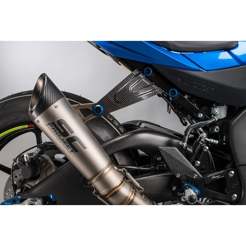CARS6560 Protezioni Forcellone In Carbonio Coppia Suzuki GSX-R1000 2017+ Lightech