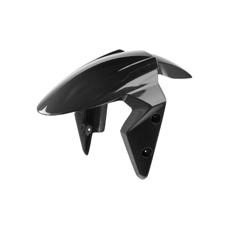 CART2410 Carbon-Vorderradkotflügel Triumph Street Triple 765 RS 2017+ Lightech