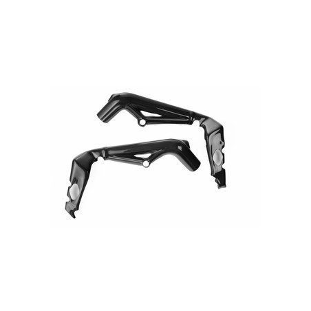 CART2450 Carbon-Rahmenschützer Triumph Street Triple 765 R 2017+ Lightech