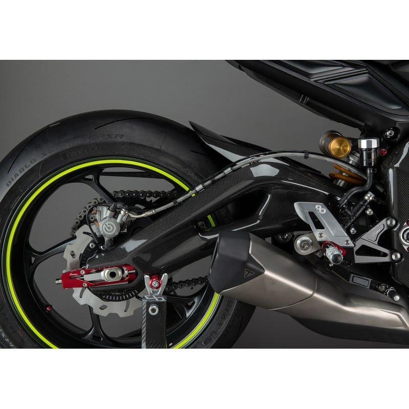 CART2460 Carbon-Schwingenschützer Paar Triumph Street Triple 765 S 2017+ Lightech