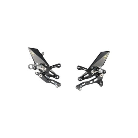FTRAP004 Pedane Regolabili Con Poggia Piedi Fissi Aprilia RSV4 2009+ Lightech