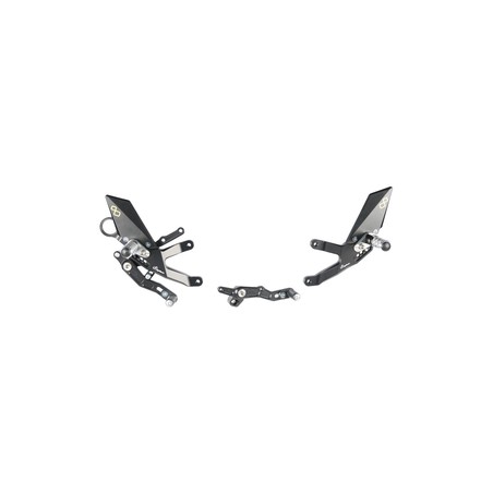 FTRBM004W Verstellbare Fußstützen mit gelenkigen Fußstützen Bmw S 1000 RR 2015+ Lightech
