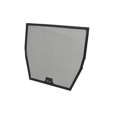 GPRDU006 Rejilla del radiador Ducati Streetfighter V4 2020+ Lightech