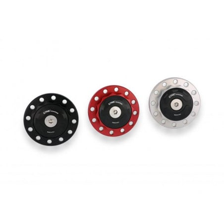 Dado Cannotto Aprilia Tuono V4 R 2011-14