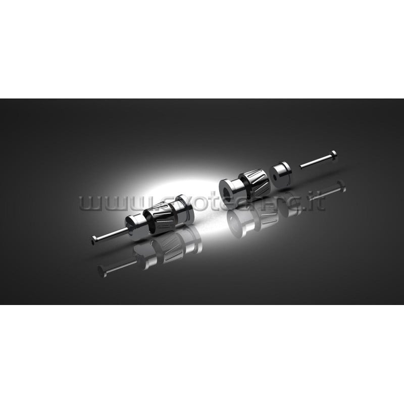 FS-BMW4 Lenkerendengewichte BMW R850R,R1100R,R1150R,K1200