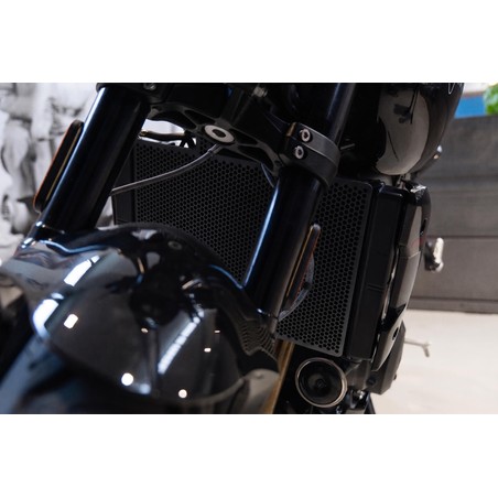RADP-07-06 Triumph Tiger Sport 800/ Trident 800 radiator guard