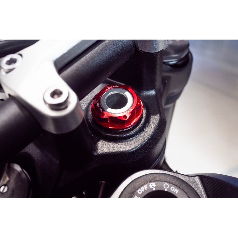 TB-042 Nakrętka ergalowa M25x1 Triumph (płyta sterowa) SPEED TRIPLE 1050 RS 18-20