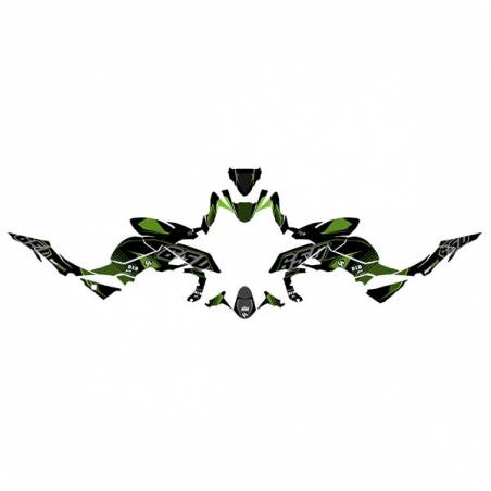 Kit Grafiche Nero-Verde Kawasaki Z 650 17/18