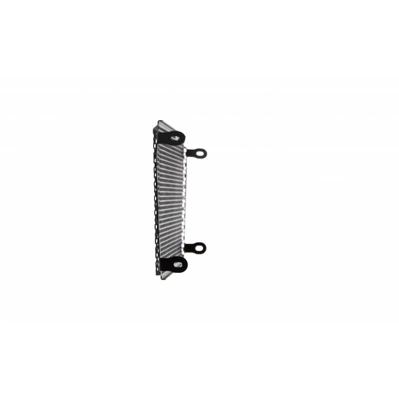 PRN006731-02 Aprilia Shiver SL 750 Radiator Guardia 2007-2017 5060674245119 Evotech Performance