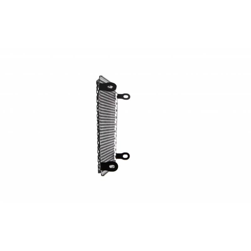 PRN006731-02 Aprilia Shiver SL 750 Radiator Guardia 2007-2017 5060674245119 Evotech Performance