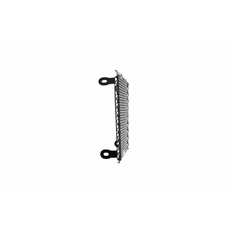 PRN006731-02 Aprilia Shiver 750 SL Garde radiateur 2007-2017 5060674245119