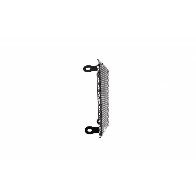 PRN006731-02 Aprilia Shiver SL 750 Radiator Guardia 2007-2017 5060674245119 Evotech Performance