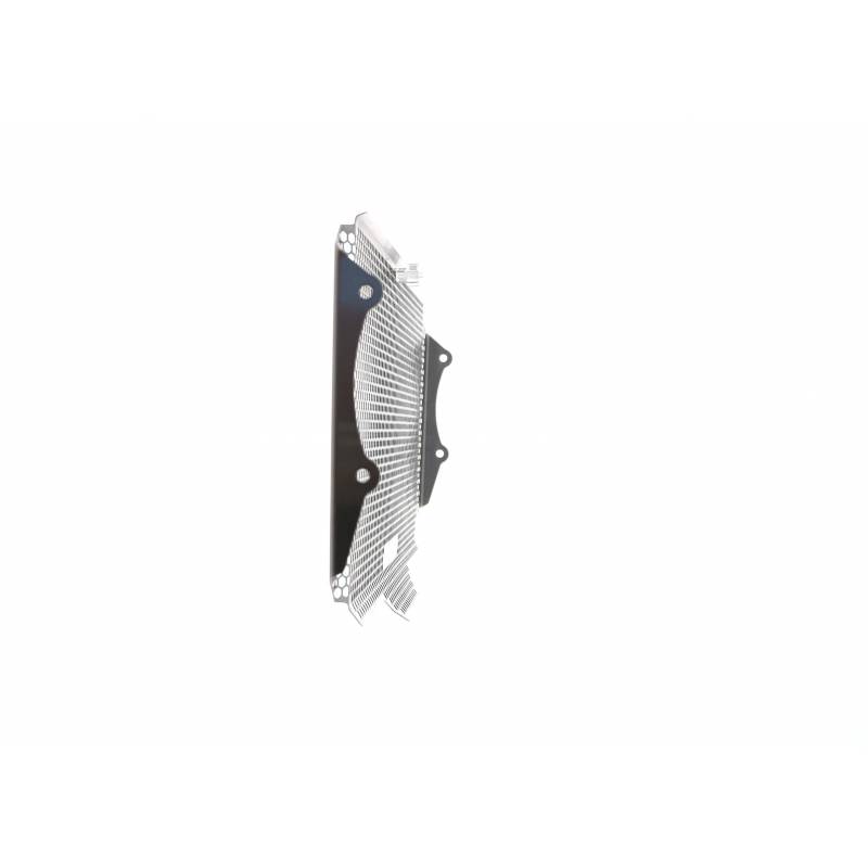 PRN013953-01 Kawasaki Z900RS radiatore Guardia 2018+ (acciaio inossidabile) 5056316614726 Evotech