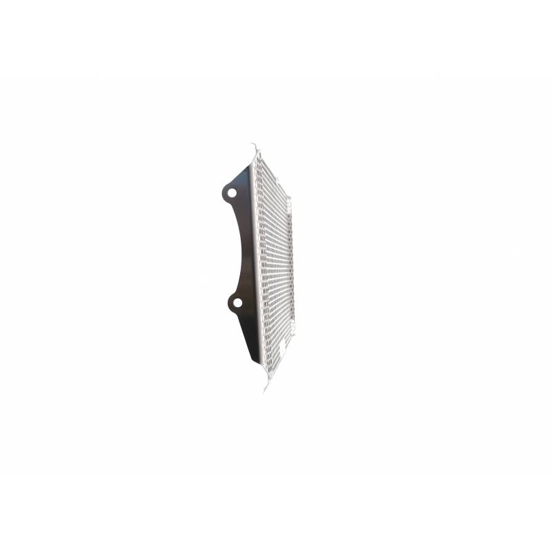 PRN013953-01 Kawasaki Z900RS radiatore Guardia 2018+ (acciaio inossidabile) 5056316614726 Evotech