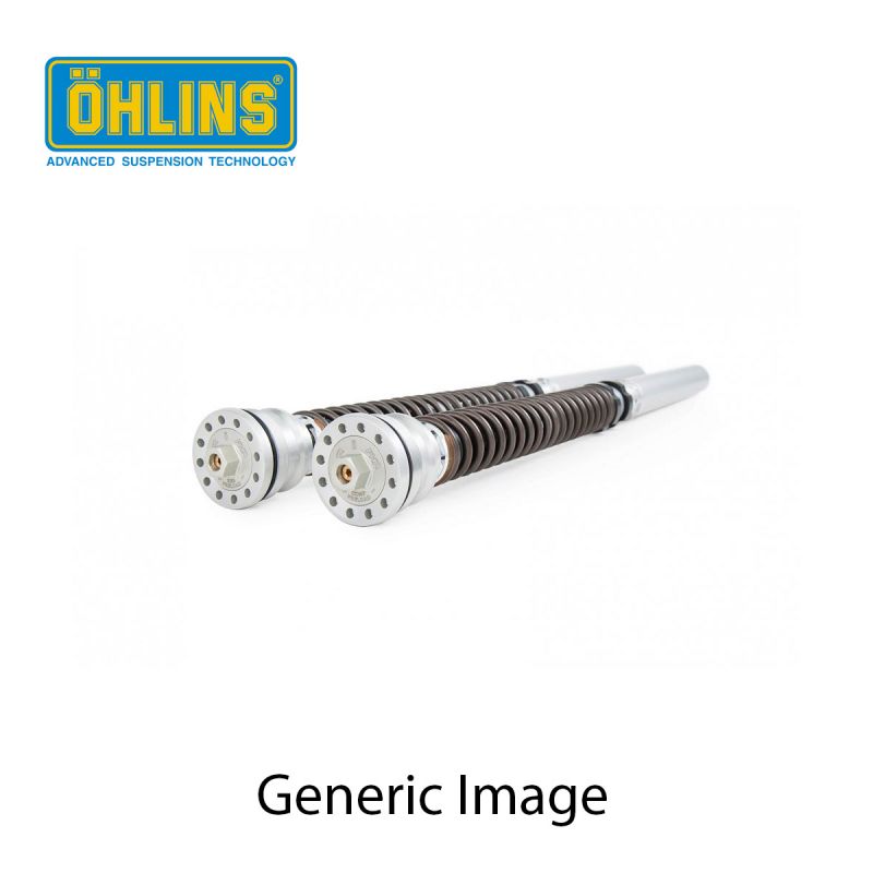 Ohlins cartuccia TTX Aprilia RSV 4 1100 Factory (Ohlins FL 963) 2020