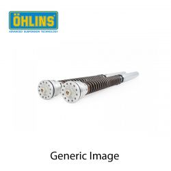 FKR 104 Ohlins cartuccia TTX BMW HP4 2013-14  OHLINS