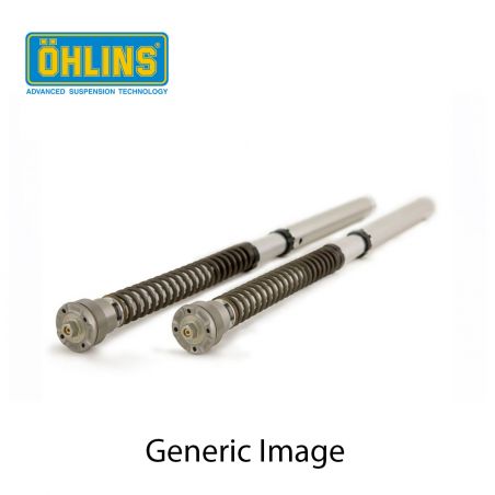 Ohlins cartuccia 30 mm BMW R 1200 R / RS 2015-18