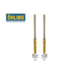 Ohlins fork 43 tradizionale - colore ORO BMW R nine T           SCRAMBLER / URBAN GS