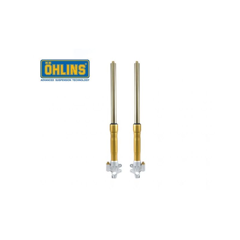 FG 434 Ohlins fork 43 tradizionale - colore ORO BMW R nine T SCRAMBLER / URBAN GS  OHLINS