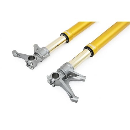 Ohlins forcella 43 Racing Universale Universal racing front fork