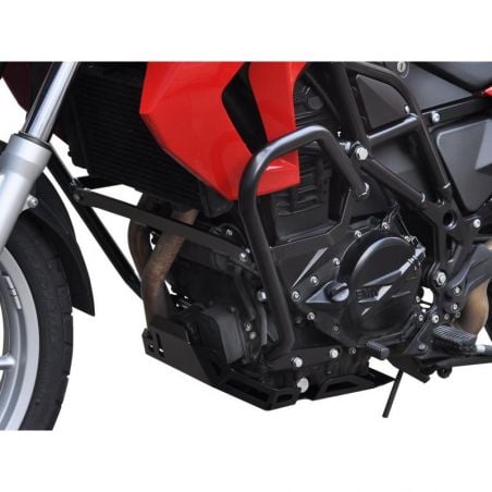 Z10001914 Zieger - Paramotore BMW F 700 GS 800 2012-2014
