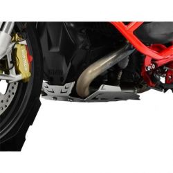 Z10005011 Zieger - Piastra Paramotore BMW R 1200 R 1200 2015-2019 argento