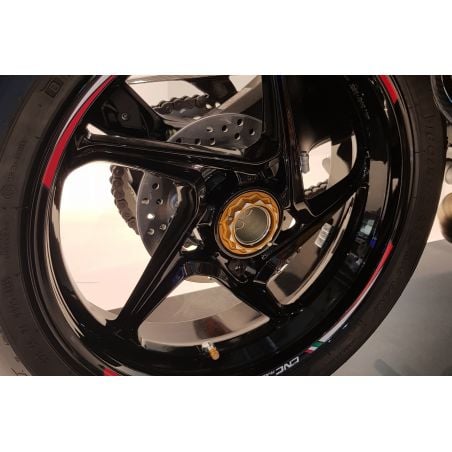 CA501SG Carter trasparente per frizioni ad olio BICOLOR DUCATI Argento/Oro  CNC RACING