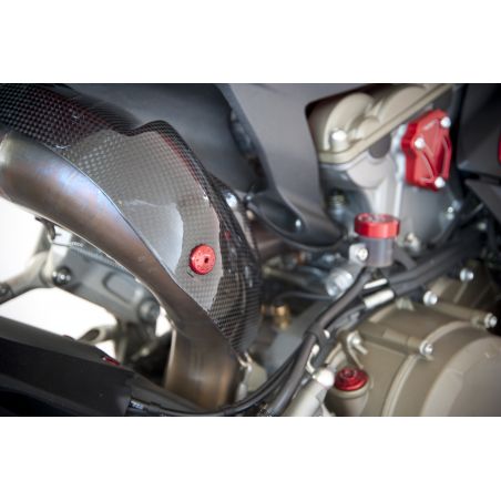 CA502SR Carter trasparente per frizioni ad olio BICOLOR DUCATI Argento/Rosso  CNC RACING
