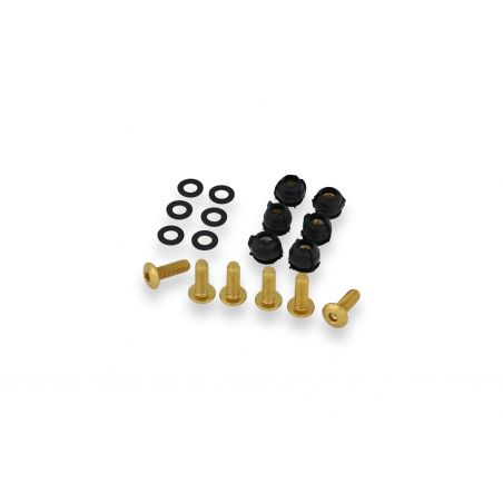 Kit viti cupolino originale  6pz DUCATI  Oro