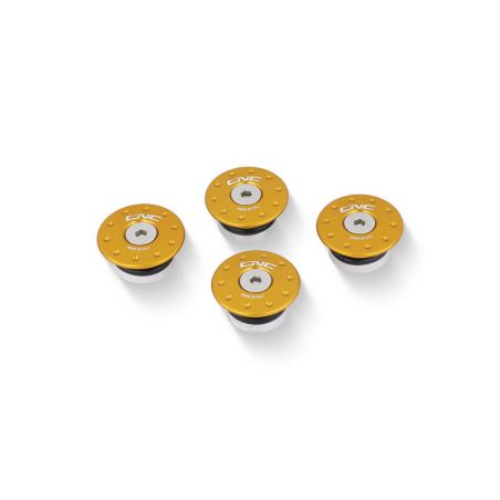 Tappi telaio  749 999 DUCATI  Oro