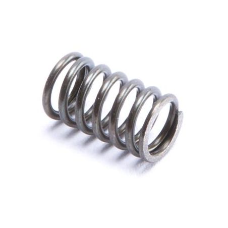 110460000201 110460000201 spring inside rebound piston rod ff 8mm  KAYABA