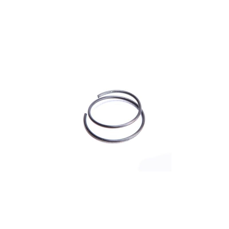 non return spring