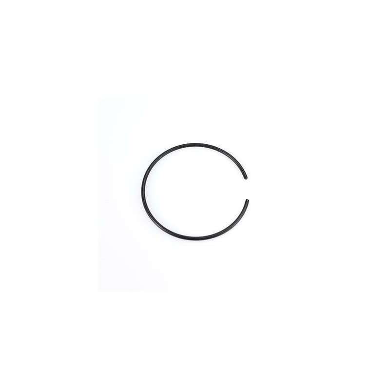 stop ring rcu 46mm tank/body