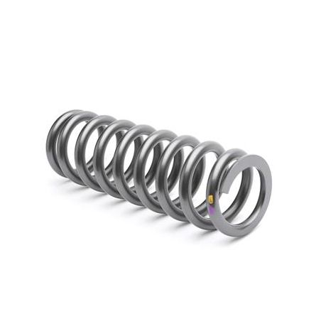 120534603101 120534603101 shock spring 46mm / 61N  KAYABA