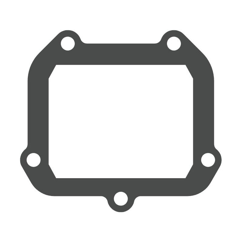 MTG306 MTG306 Lamellar valve gasket Aprilia MX 125 125 2004-2004  MOTO TASSINARI