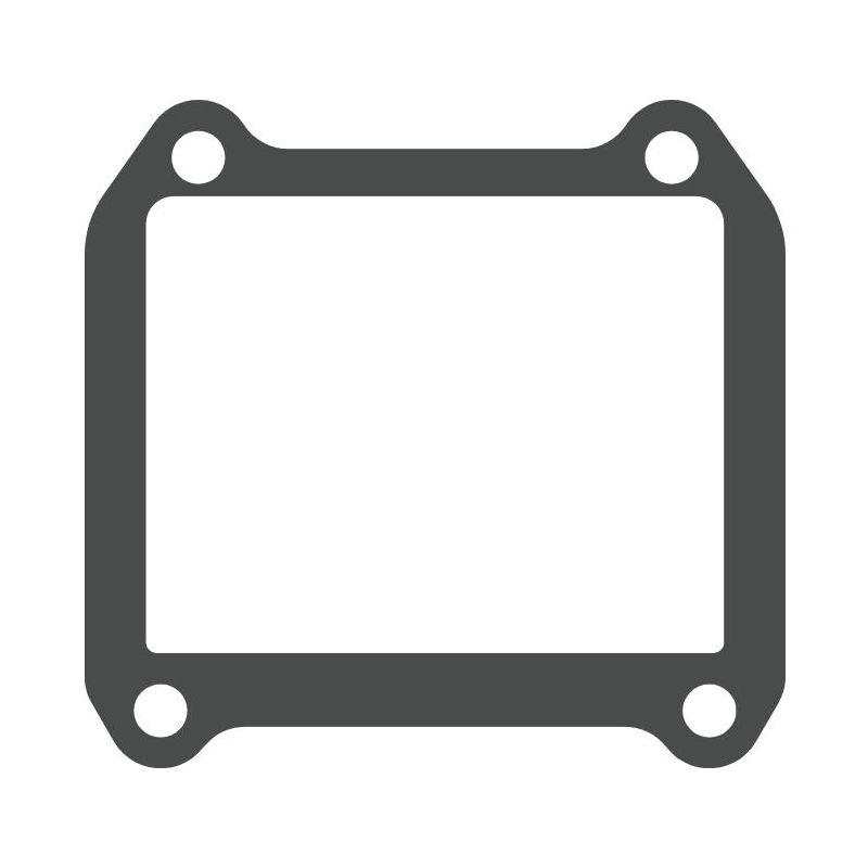 MTG316 MTG316 Lamellar valve gasket Beta RR 250 2T 250 2013-2021  MOTO TASSINARI