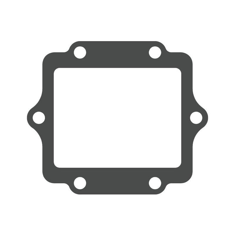 MTG03 MTG03 Lamellar Valve Gasket Kawasaki KDX 200 200 1995-2004  MOTO TASSINARI