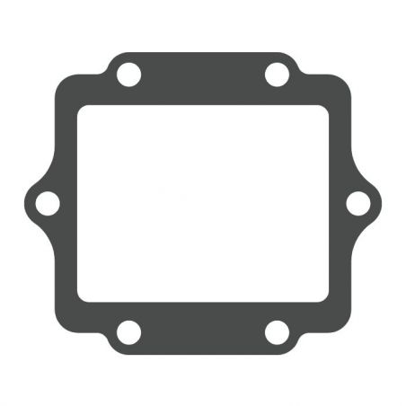 MTG03 MTG03 Lamellar Valve Gasket Kawasaki KDX 220 220 1996-2005  MOTO TASSINARI
