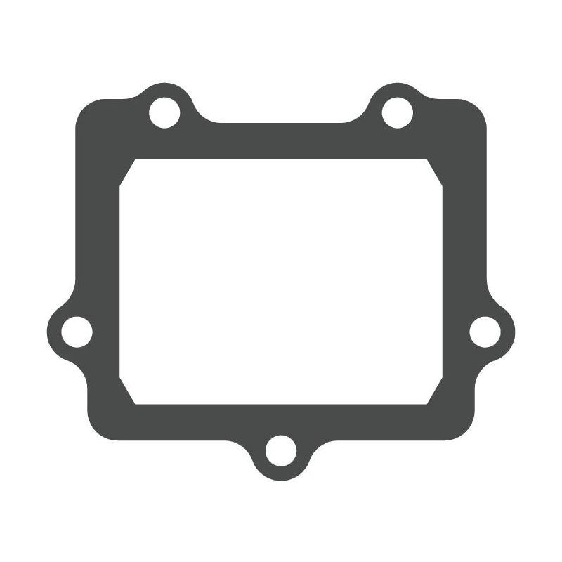 MTG307 MTG307 Lamellar Valve Gasket Kawasaki KX 250 250 2005-2008  MOTO TASSINARI
