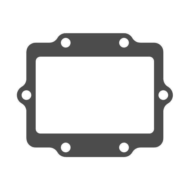 MTG150 MTG150 Lamellar Valve Gasket Kawasaki Water Motorcycle - 2 Cylinders 0-  MOTO TASSINARI