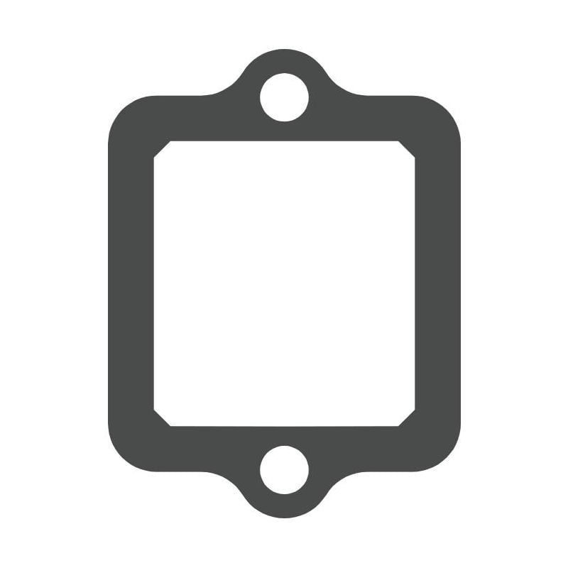 MTG354 MTG354 Lamellar Valve Gasket PIAGGIO HEXAGON 125 2T 125 1994-1998  MOTO TASSINARI