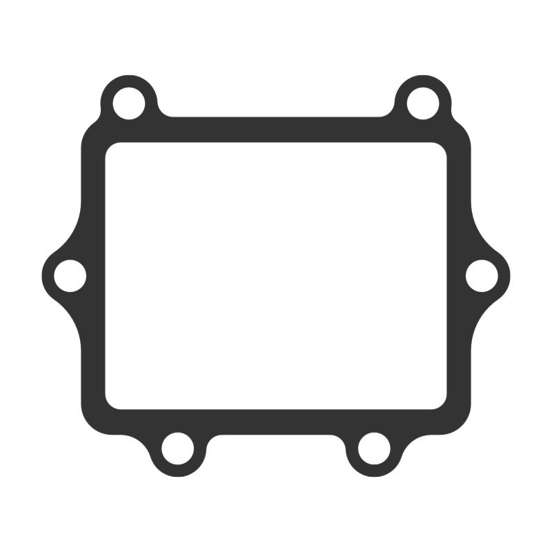 MTG131 MTG131 Laminated valve gasket Polaris water motorcycle - SL / SLT 750 750 0-  MOTO TASSINARI