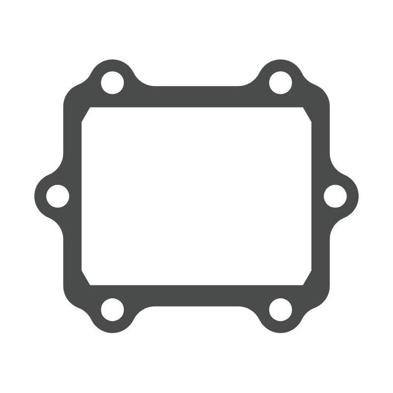 MTG3110 MTG3110 Lamellar Valve Gasket Suzuki Lt 500 500 1988-1988  MOTO TASSINARI