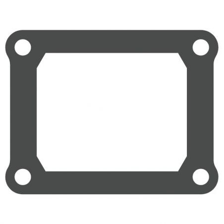 MTG301 MTG301 Lamellenventildichtung TM 125 125 2018-2018  MOTO TASSINARI