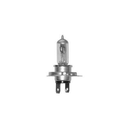 208670 LAMPADA GRUPPO OTTICO HERT APRILIA Scarabeo Light IE / E3 250 06/11  HERT