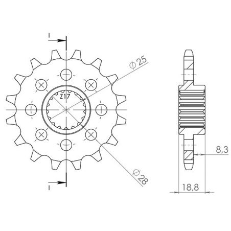 546160117 PIGNONE R+2 AC P520-D17 SGR - SPROCKETS BMW F GS (K72) (MOZZO FORI Ø 8,5) 650 08/08  SGR