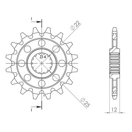 PIGNONE S AC P520-D13 SGR - SPROCKETS  FANTIC MOTOR Caballero Regolarità Scuderia 2T 250 12/12