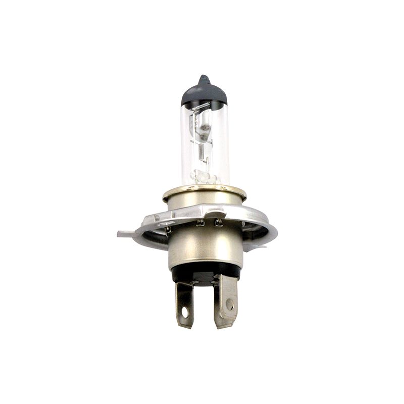 LAMPADA GRUPPO OTTICO DX PHILIPS  SUZUKI AN Burgman (CG111/CG112/CG113/CG114) 400 06/13
