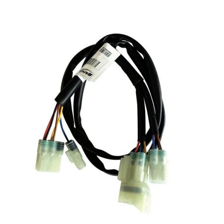 CABLAGGIO CENTRALINA RAPIDBIKE RAPIDBIKE  HONDA CRF L Africa Twin DCT 1100 20/20
